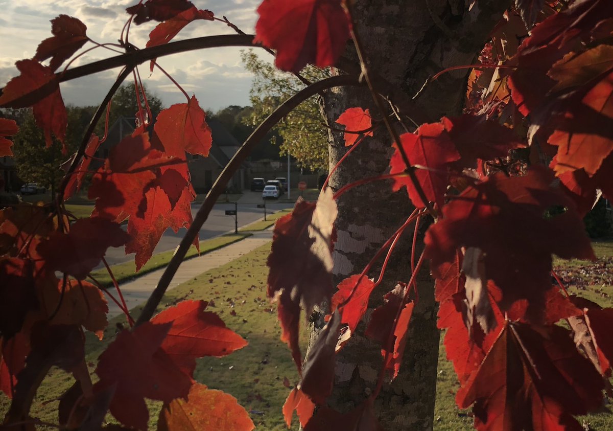 George Huang (@gtjhuang) on Twitter photo 