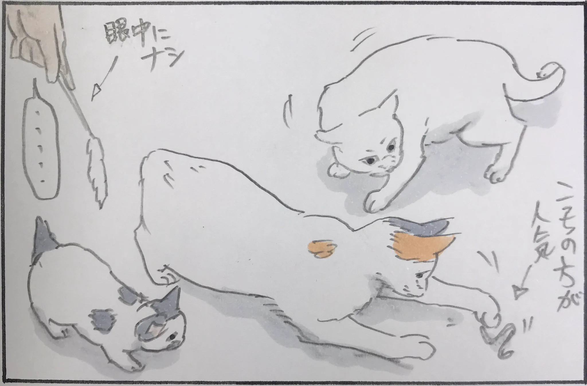 遊んでほしいのはそっちじゃない！猫の大人気商品とは？