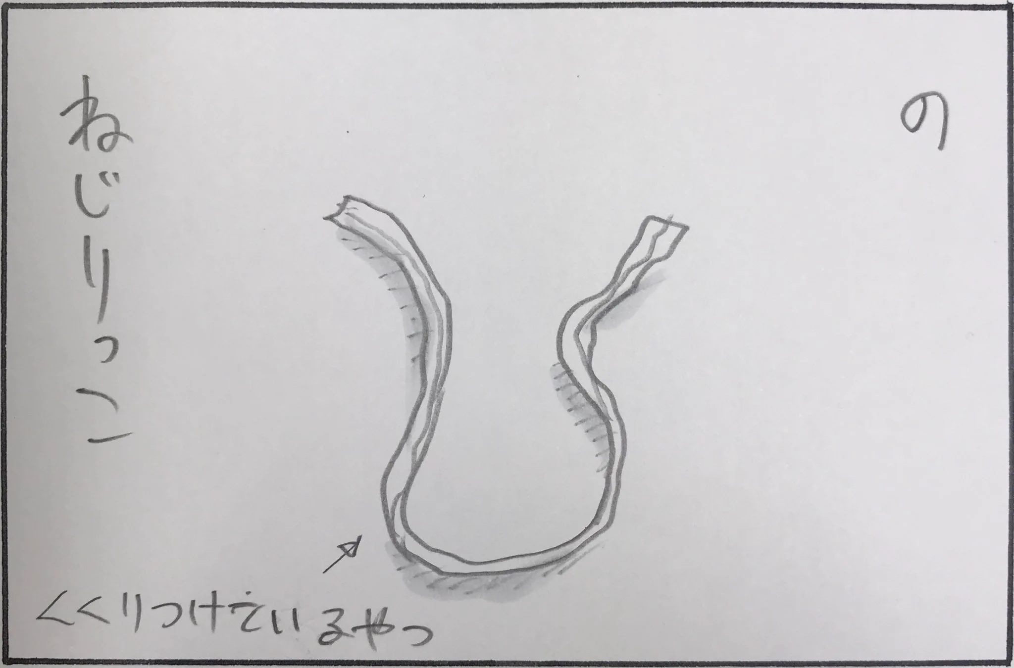 遊んでほしいのはそっちじゃない！猫の大人気商品とは？