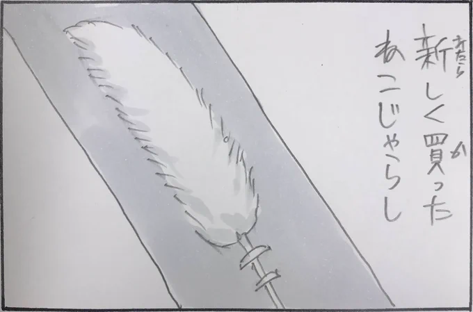 『大人気商品』 