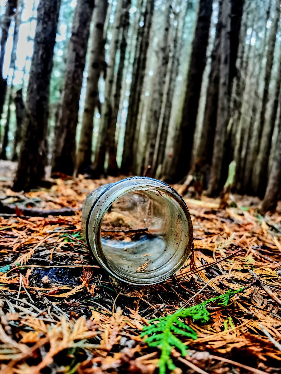 BooBitch124's tweet photo. Fritton woods 🌲🍁 https://t.co/XMXycpA7We