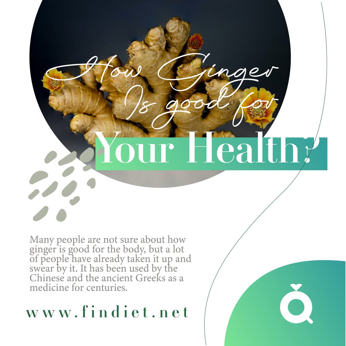 How Ginger Is Good For Your Health?
findiet.net/how-ginger-is-…

#findiet #diet #dietblogger #ginger #weightloss #healtynutrition #healthyfoodblog #mealplans #healthyeating