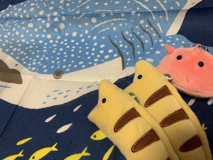 海遊館のtwitterイラスト検索結果 海遊館のtwitterイラスト検索結果