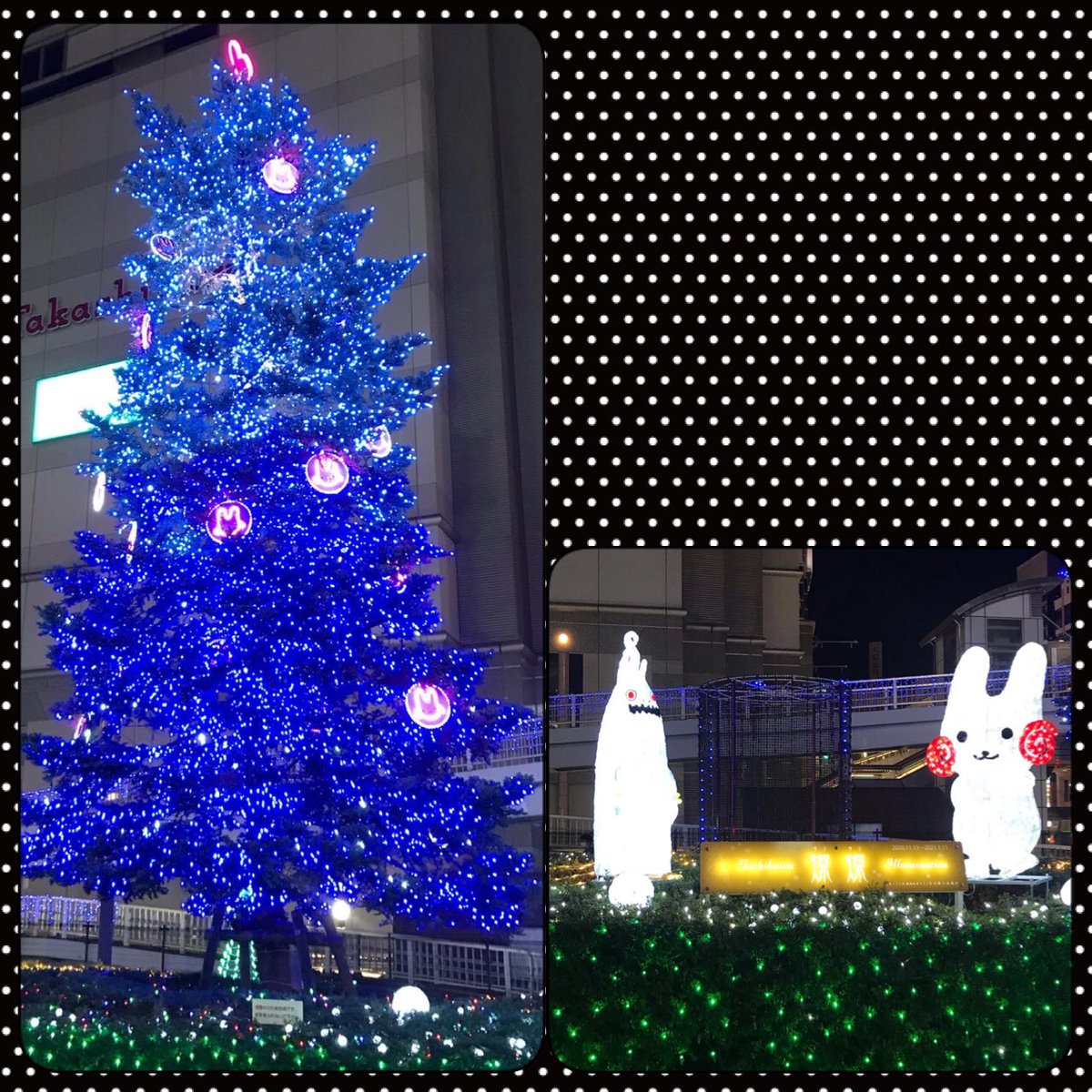 soranyan's tweet photo. X’mas illumination #xmas #xmastree #立川高島屋横 #クリスマスイルミネーション🎄 #ウドラ  #くるりんちゃん #udora #kururin ジムで今日も大量に汗かきました。そんな帰り道 https://t.co/uggeSBxDlH