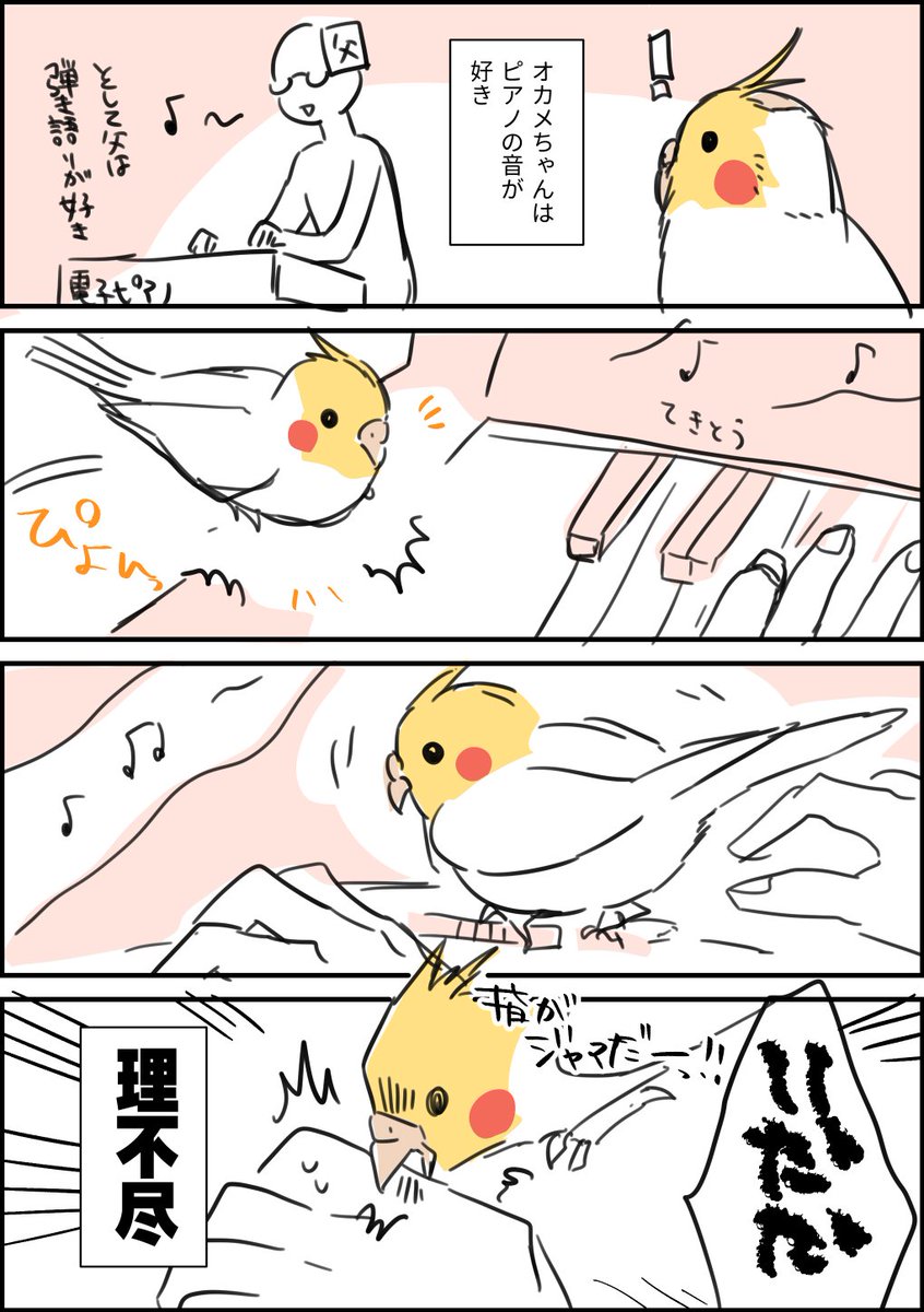 こっちのがオチついてていいかもしれない
オカメインコは自分のことしか考えていない 