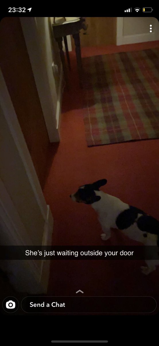 PonderSusie's tweet photo. I went to away for the weekend then got this snap 😭😭😭 heartbroken doesn’t cover it https://t.co/a9d8T9klBo
