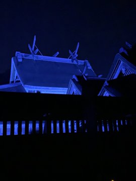 MatsueMisako's tweet photo. #WorldDiabetesDay
#Japan 🇯🇵
#IzumoTaisha(National treasure)
#Bluelightup
#IzumoCity
IzumoTaisha Blue Light Up
@izumobluelight
🔵November 14, 2020 World Diabetes Day🔵
Izumo City blue-lights Izumo Taisha Shrine every year as an educational activity.
https://t.co/I46w6HNlzR https://t.co/NvJGgwWKaT