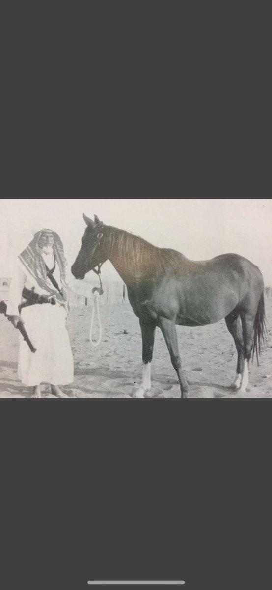 bn_dbiyan's tweet photo. جدّي وأبوي وعماني رحمهم الله رحمةً واسعه .. اللهم كما جمعتهم في الدنيا إجمعهم في الفردوس الأعلى على سُرر متقابلين اللهم امين🙏#بادي_بن_دبيان #فارس_بن_بادي #فالح_بن_بادي #علوش_بن_بادي https://t.co/Xw5qNaqER7