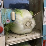 コインロッカー式の野菜自販機のおつり返却の方法…白菜に爪楊枝で50円玉が突き刺してあった!