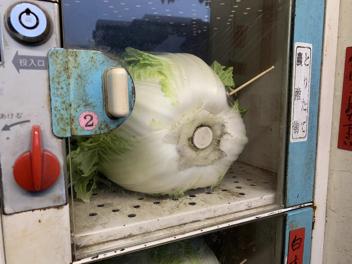 コインロッカー式の野菜自販機のおつり返却の方法…白菜に爪楊枝で50円玉が突き刺してあった！