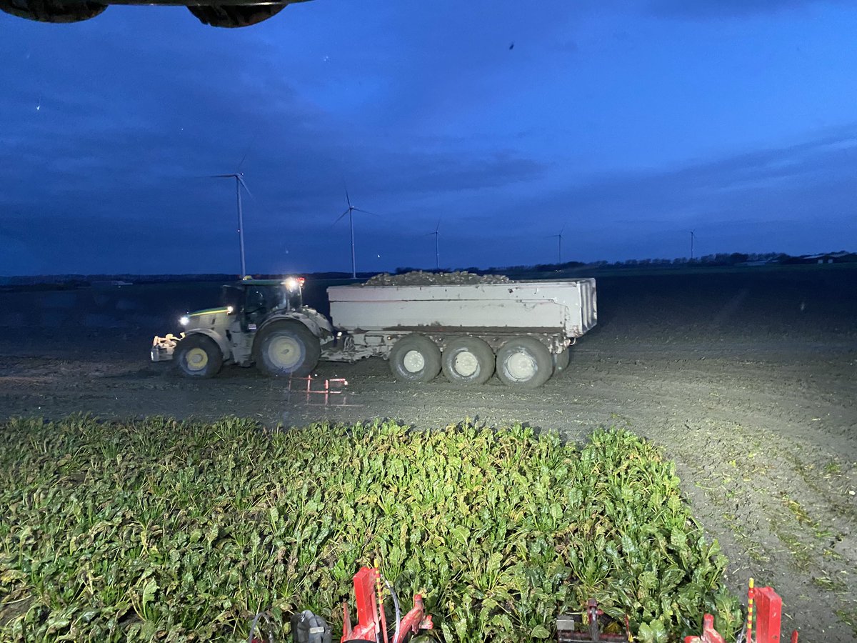 Nog even voor de regen op zaterdagavond en zondagmorgen bietenrooien, nu de tarwe er nog in spitzaaien zodat om 13.00 uur het weekend kan beginnen.