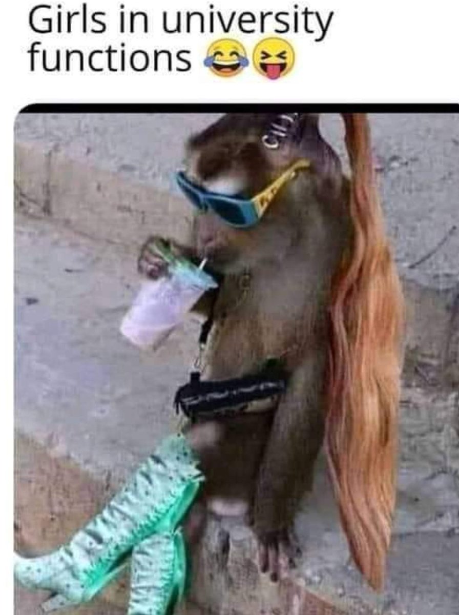 MrUMAIR031's tweet photo. #girls in #university Function
#sundayvibes #feluda #GovardhanPuja2020 #SachinDebutDay #coronavirus #GilgitBaltistanElections2020 #Islamabad 
@katyperry @justinbieber @BarackObama @realDonaldTrump @MrUMAIR031 https://t.co/4f8VP8TAmk