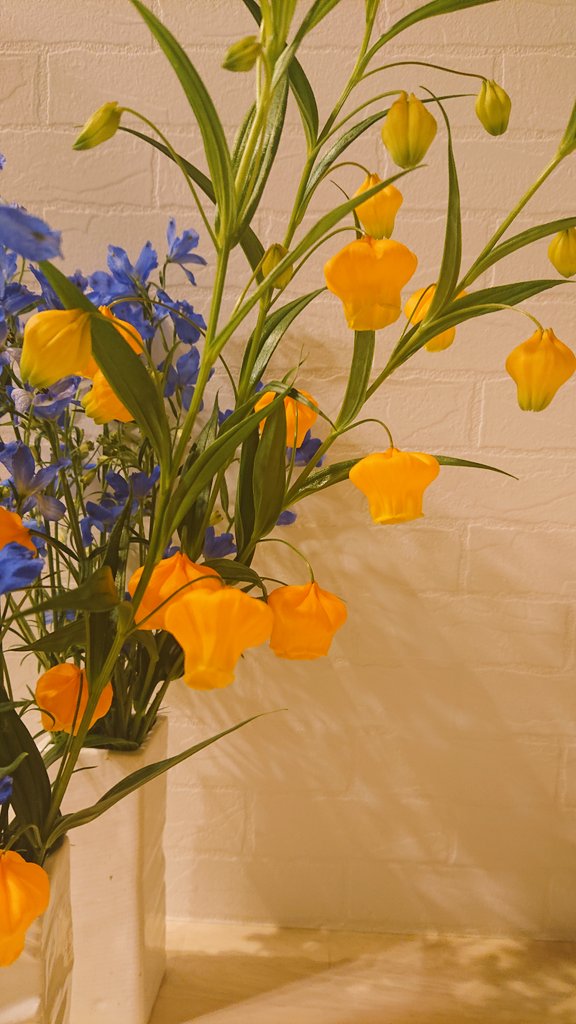 花兵衛 花屋 今日のお花 サンダーソニア です オレンジのベルのような花姿から英語では クリスマスベル とも呼ばれます 花言葉は 望郷 祈り とても 人気のお花です