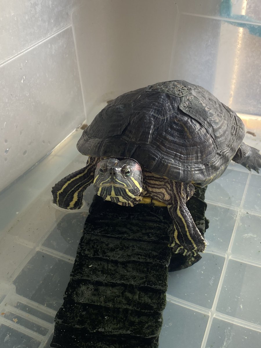 ecembecerik7's tweet image. İyi ki doğdun çocuğum #sweet7