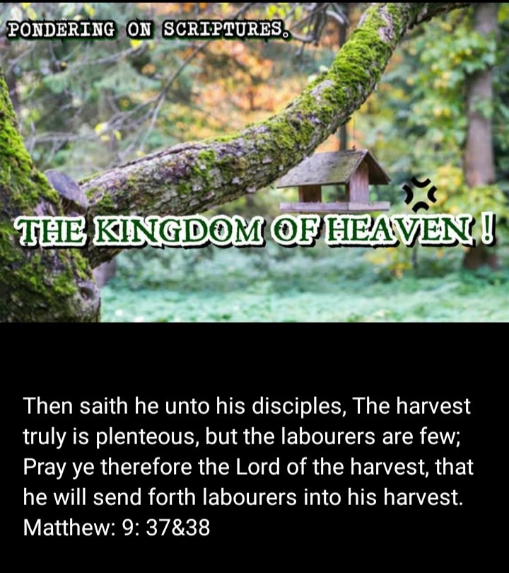 MartinsIMatt's tweet photo. Every chance you have in telling someone else know the Good News of God, please do.
The harvest is indeed plenteous, be a labourer for the Kingdom.

Your Crown awaits you!
THIS IS THE GOOD NEWS;
WE'RE FORGIVEN
WE'RE THE RIGHTOUSNESS OF GOD IN CHRIST JESUS!

BELIEVE, ACCEPT &amp; LIVE https://t.co/KjCltAg6x8