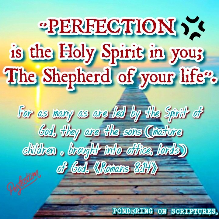MartinsIMatt's tweet photo. Every chance you have in telling someone else know the Good News of God, please do.
The harvest is indeed plenteous, be a labourer for the Kingdom.

Your Crown awaits you!
THIS IS THE GOOD NEWS;
WE'RE FORGIVEN
WE'RE THE RIGHTOUSNESS OF GOD IN CHRIST JESUS!

BELIEVE, ACCEPT &amp; LIVE https://t.co/KjCltAg6x8