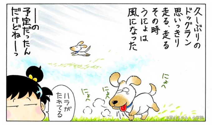 うにょがドッグランを楽しめたみたいでよかったー。 