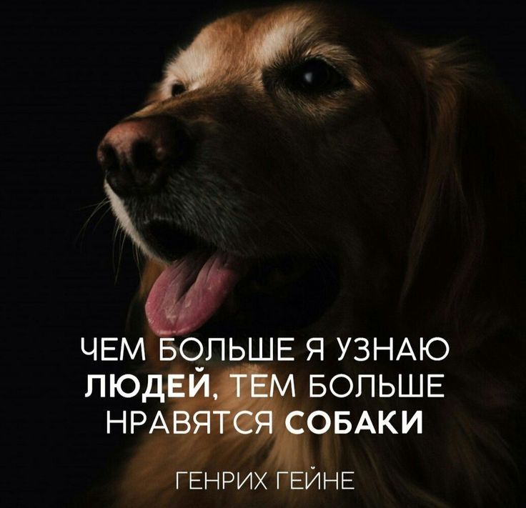 Письма Добра. Коллекция картинок о добре и милосердии 
 
Книги "Письма Добра" в электронном виде delodobroe.ru/books/ 
 
#Доброедело #Доброе_дело #Письмадобра #Письма_добра