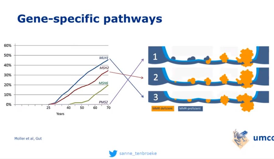 Cathryn Koptiuch (@ckoptiuch) on Twitter photo Great #CGAIGC20 Rising Stars talk from <a href="/Sanne_tenBroeke/">Sanne Bajwa - ten Broeke</a> discussing possible explanations for the CRC risk variability across different types of #Lynchsyndrome.
100% agree: "It's important to include the specific MMR gene in the description of Lynch syndrome patients." Great #CGAIGC20 Rising Stars talk from <a href="/Sanne_tenBroeke/">Sanne Bajwa - ten Broeke</a> discussing possible explanations for the CRC risk variability across different types of #Lynchsyndrome.
100% agree: "It's important to include the specific MMR gene in the description of Lynch syndrome patients."