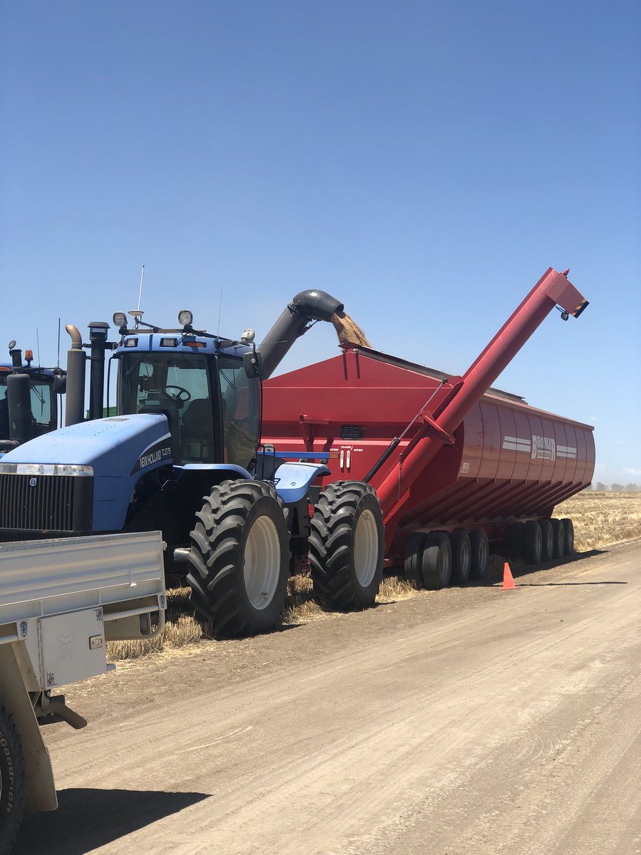 AMG_galagher's tweet photo. #harvest2020 #burrenjunction silos in pics at capacity and most others in the district #weewaa #merahnorth #walgett #wheat for days thanks @GleesonLorna I feel so much better now Iβve saw some harvest action, strong #yields @Pete_Karam @alisterbennett @bennett2_mark https://t.co/MdEgbsI7g3