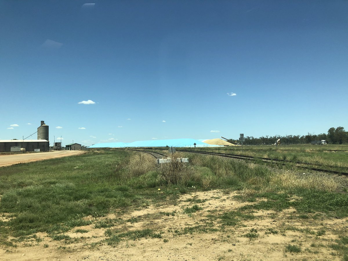 AMG_galagher's tweet photo. #harvest2020 #burrenjunction silos in pics at capacity and most others in the district #weewaa #merahnorth #walgett #wheat for days thanks @GleesonLorna I feel so much better now Iβve saw some harvest action, strong #yields @Pete_Karam @alisterbennett @bennett2_mark https://t.co/MdEgbsI7g3