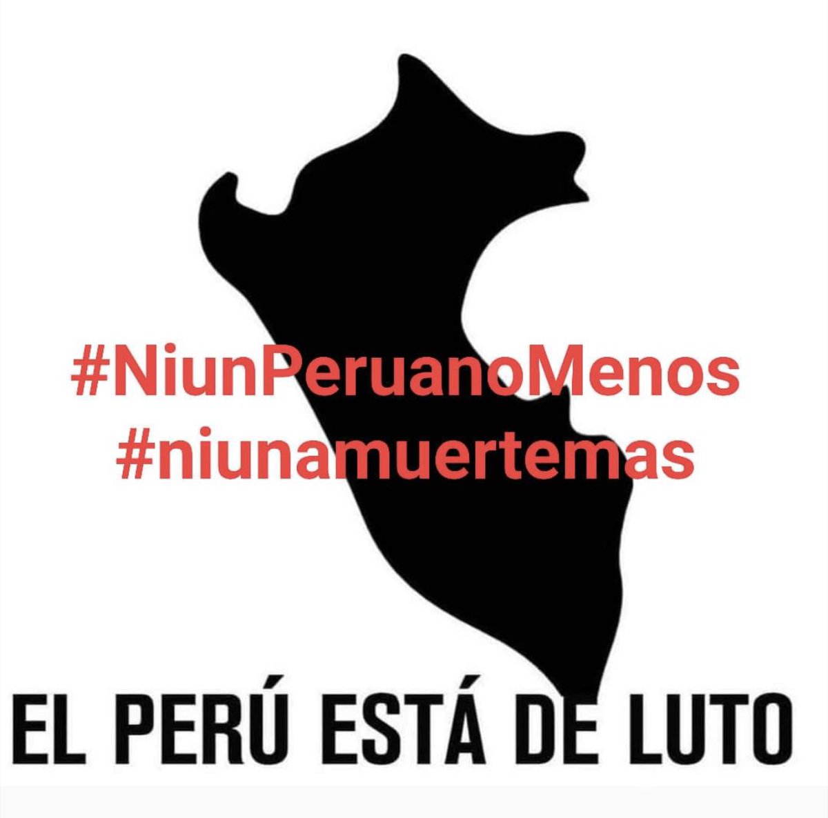 LSC (@lieneke_schol) on Twitter photo 