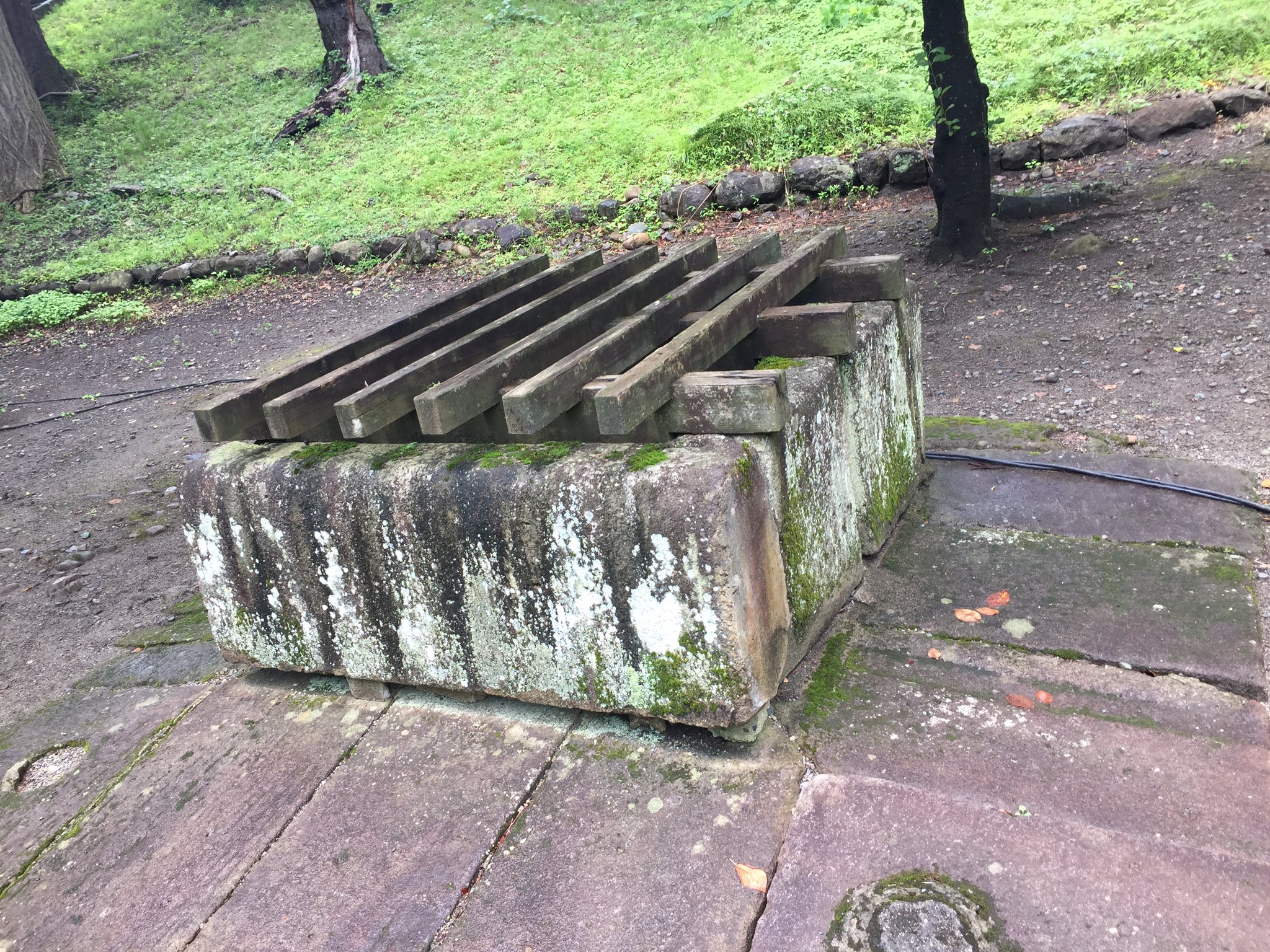ごみくず 会津若松城 鶴ヶ城 二の丸 現在は芝コートの芝張り替え中の模様 当時は米蔵や書物庫などがあったということ 本丸全体に面するようになっておりかなり広い 1枚目 東門から 2枚目 中央あたりから 0725 福島県 会津若松市 東山