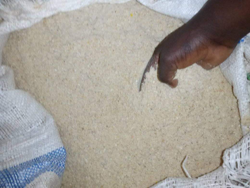 #quality maize brand at shs. 70,000 per 100kg support buyondo moses the youth you will be proud of later
Located in kalagi along kayunga -gayaza road so if you do farming around those areas please I call for your support #samsonkasumba #hardworkingyouthuganda