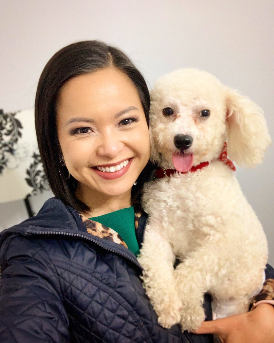 ChinhDoan's tweet photo. πΆ This sweet boy waits for me to come home from work and gets so excited to snuggle.
Iβm such a proud #DogMom. π€
Follow @bruce_thebichon on Instagram for more pics! π
#AdoptDontShop #BichonFrise #DogsOfTulsa #BruceTheBichon #RescueDog #PetsAreFamily #DogsofTwittter https://t.co/LWFBGHodtx