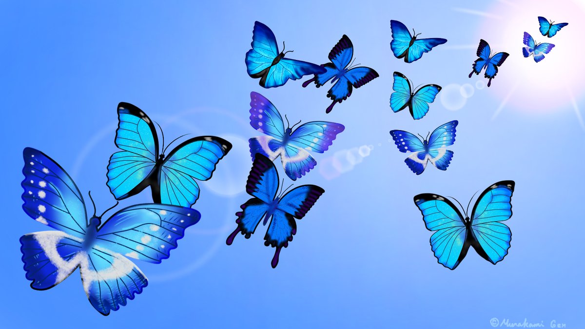 murakami_gen's tweet photo. #colour_collective #kawaii #kidlit #kidsbooks #illustrationart #ChildrensBooks #illustration #illustrator #patterns #patternpictures #butterfly https://t.co/esCKfANw5b
