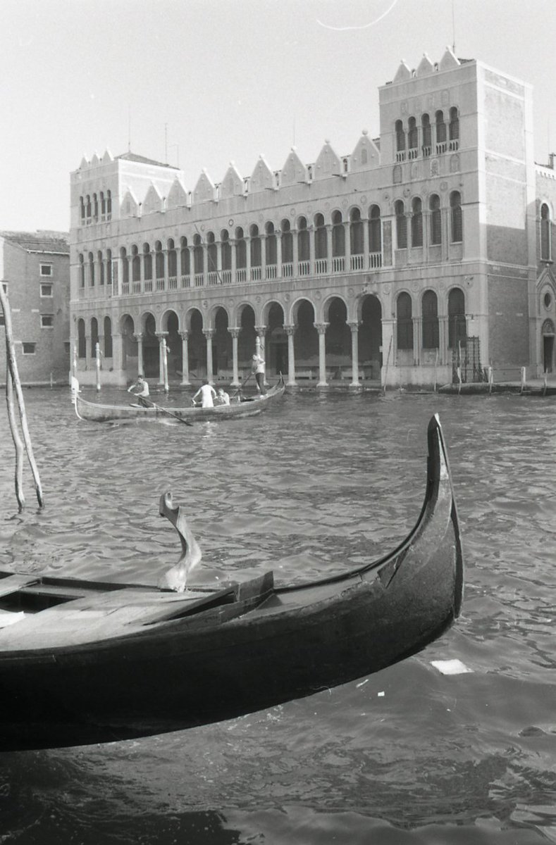 IveserVenezia's tweet photo. #traghettando 1969
[Paolo Monti @FondazioneBeic (CC BY-SA)] https://t.co/UgdhvEAHUF