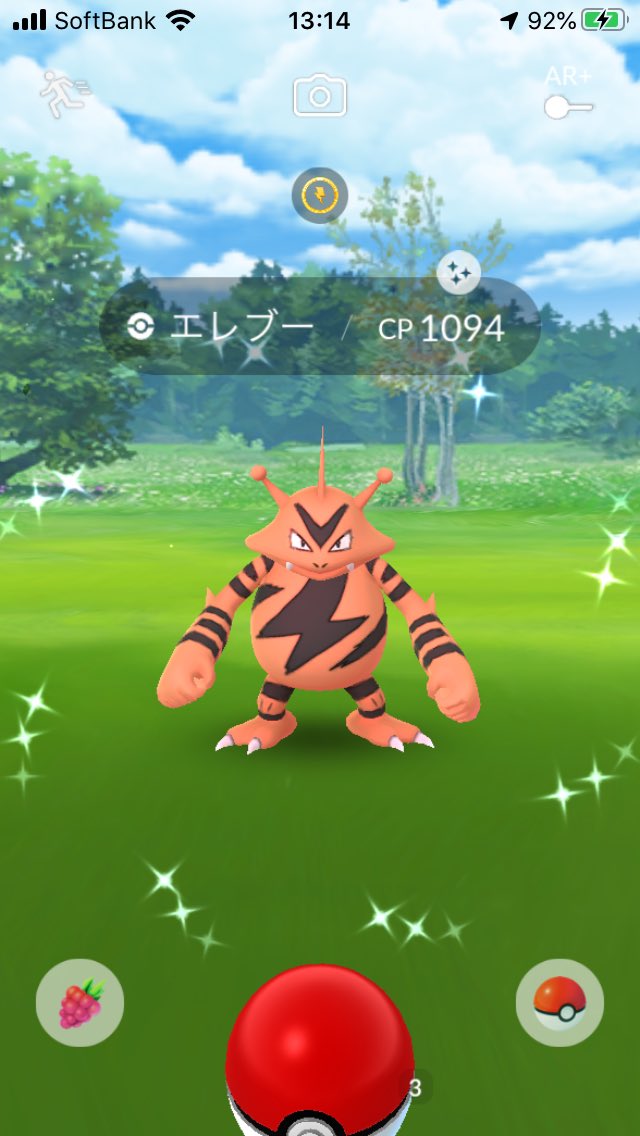 あくあ そーいえば 家にいながらタップして色だけ確認してました 色違いのエレブー あくあの色厳選 ポケモンgo