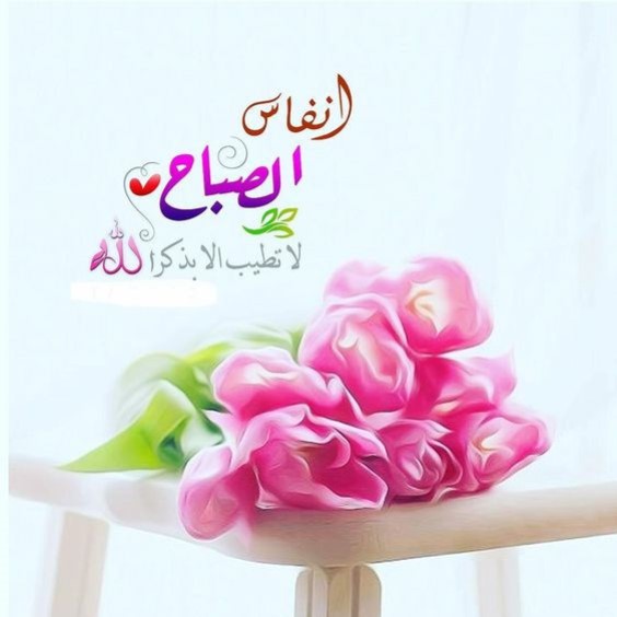 قلوب الاوفياء دائما تدعو لبعضها بالخير في كل حين..
فأسأل من لا يعجزه شيء في الأرض ولا في السماء أن يعطيكم فيرضيكم..ويرزقكم فيغنيكم..ويجعلنا واياكم من سعداء الدنيا والآخرة 🌸

#صباح_الخير