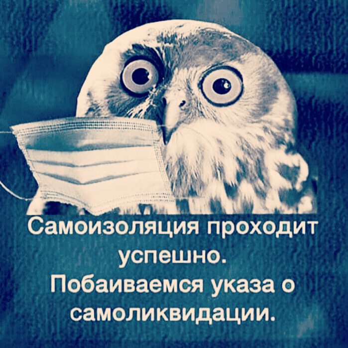 Vasyl Bykhov (@vbukhov) on Twitter photo 