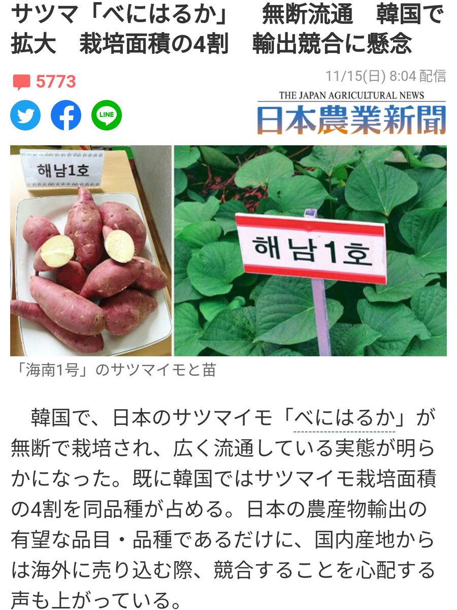サツマ べにはるか 無断流通 韓国で拡大 栽培面積の4割 輸出競合に懸念 と日本農業新聞 そして朝日新聞も 柴咲コウさんの懸念で注目 種苗法改正案が衆院委で可決 と報じる Togetter サツマ べにはるか 無断流通 韓国で拡大 栽培面積の4割 輸出競合に懸念 と日本農業新聞 そして朝日新聞も 柴咲コウさんの懸念で注目 種苗法改正案が衆院委で可決 と報じる Togetter