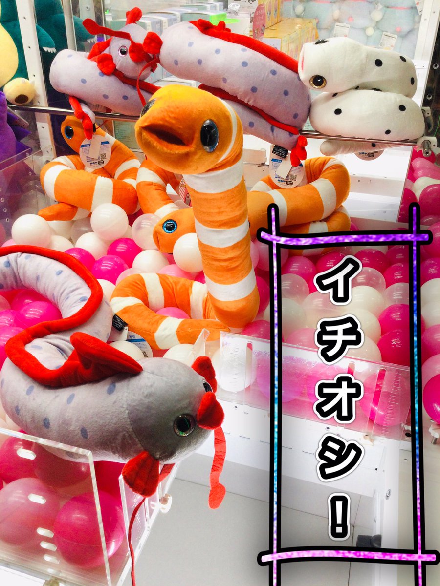 ディノスパーク帯広稲田 בטוויטר どうもfです O O 景品紹介 面白いぬいぐるみが 入荷してましたっ 結構ながーーーーいので お店にきて見てみてね ぽきぽきレア魚ぬいぐるみbig チンアナゴ 幻魚 リュウグウノツカイ ディノスパーク帯広稲田 スガイ