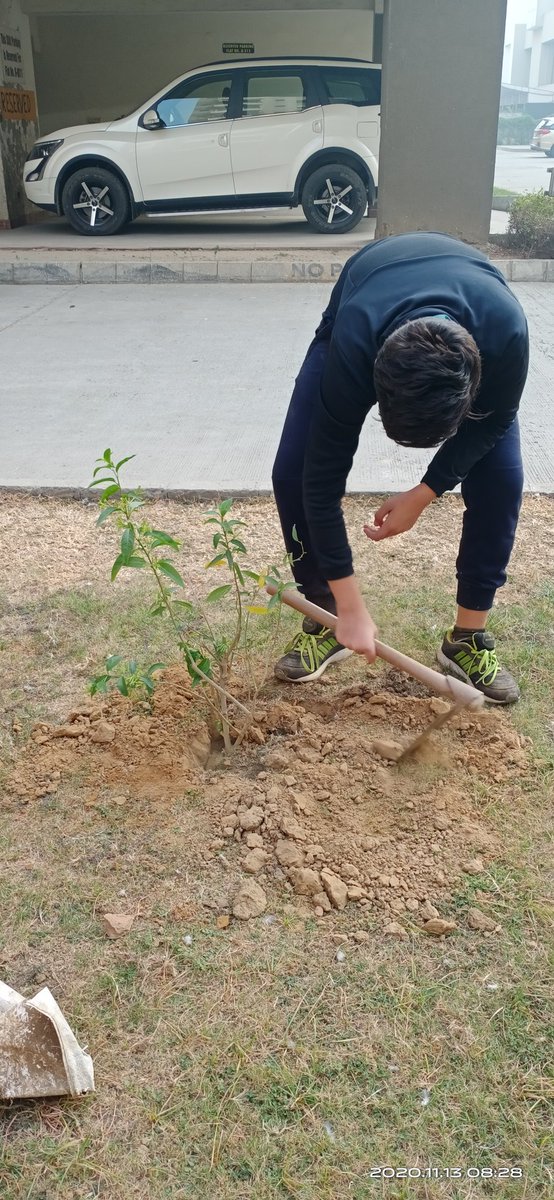 AaravSeth_'s tweet photo. Celebrated 3 occasions, b'days of my mother & grandmother & #Diwali.
Sticking 2 my rules to fight against the rising #AirPollution by planting #trees.
#Sunday4SecuredFuture.☘🌱#DelhiAirQuality
#Solution4Pollution
@LicypriyaK @Monarijulius @WakioDorcas @KaoHua3 @alphanumrixx https://t.co/NpbB6IvaFN