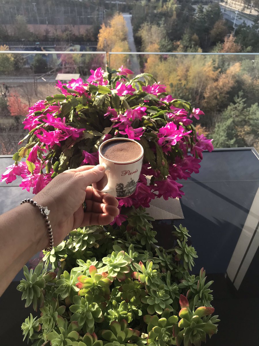 ipekinciipek's tweet photo. Hepimize #GünayDınn               Bugün #pazar Ve keyfini çıkartmaya kararlıyım ...             #RuhumaTerapi ,  yine çoşmuş gönlümün güzellerii 🤗 #İlledeMemedefendi #CafeTurc     Hepimize Olabildiğince #MutluParazlar ... https://t.co/uul0HosDCJ