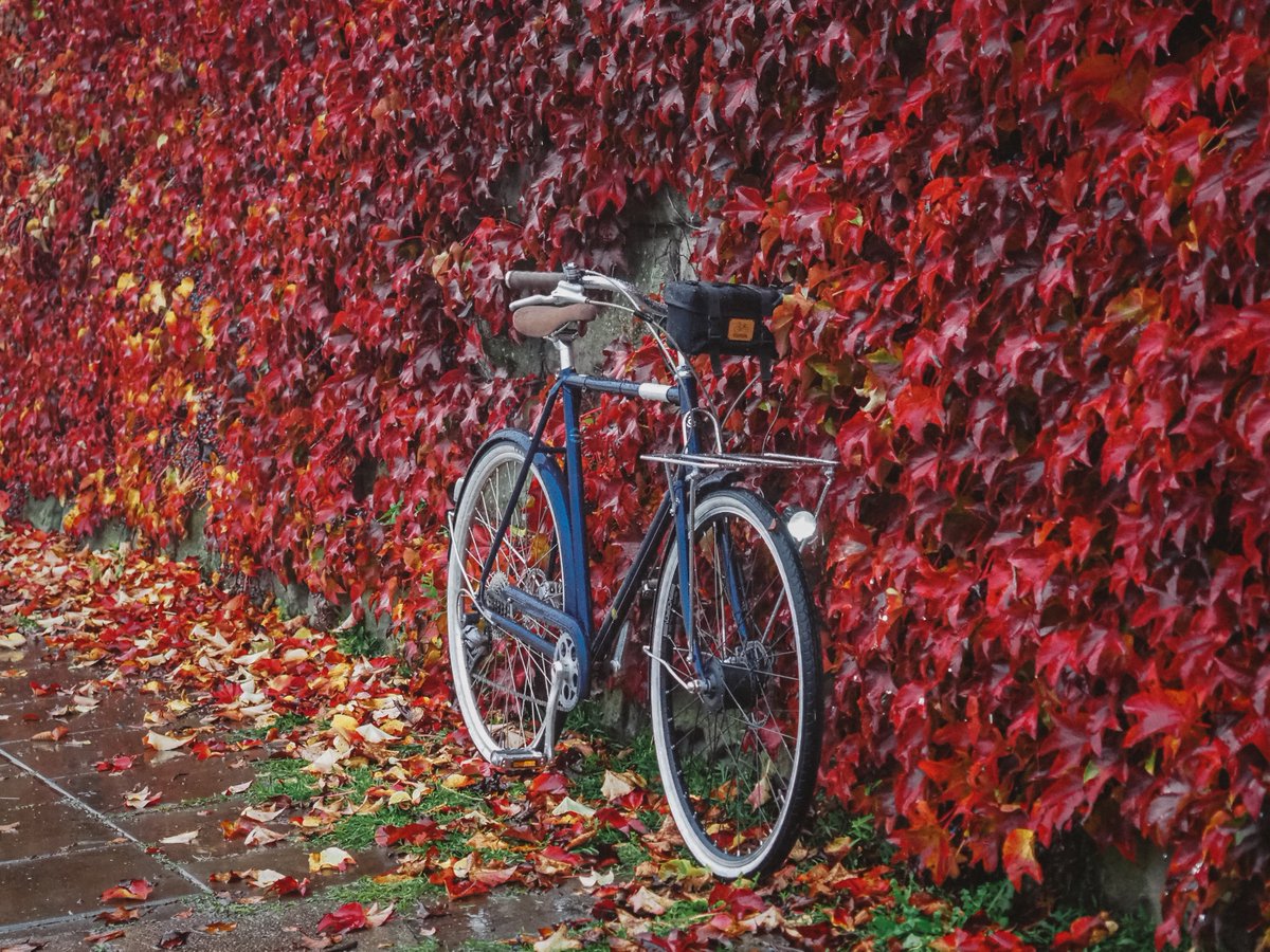 velotton's tweet photo. Vekkit ebike kit + @cremecycles , save your time on commuting #electricmobility #ebike https://t.co/JxxP9wMZI3 https://t.co/sBbr7EK1M8
