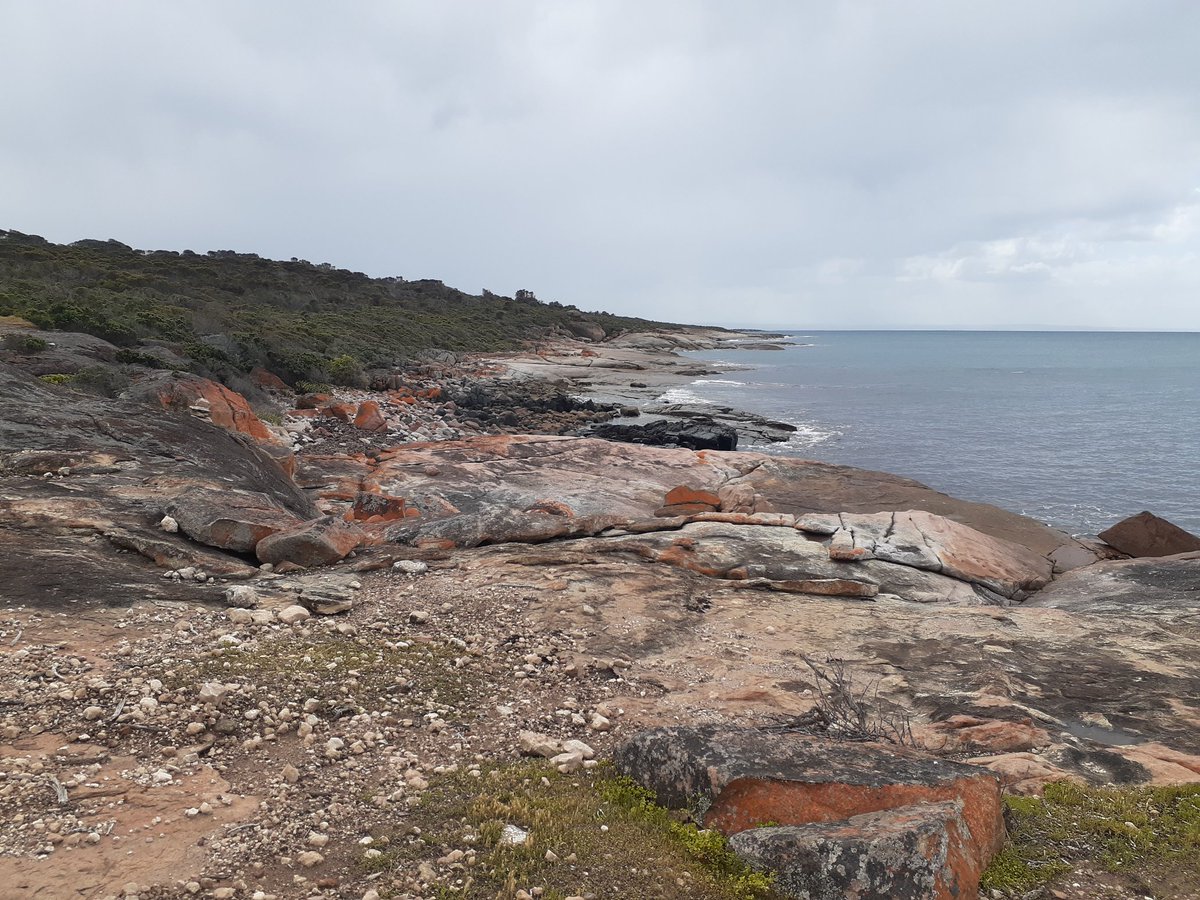 becs_here's tweet photo. @strongsongs btw, enjoying the podcast from Adelaide, Australia. Listened to a heap recently on driving around the rugged Eyre Peninsula, so the eps were a soundtrack to this kind of scenery. #virtualroadtrip thanks! https://t.co/e22X3G87se