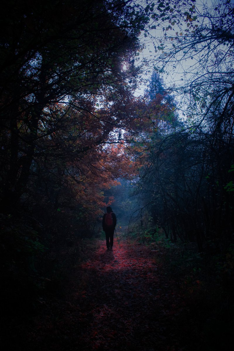 Tufailshahh's tweet photo. A single sunbeam is enough to drive away many shadows.

#artistvisual #photography #moodedits #moodygrams #tones #autumn #autumnvibes🍁 #colours #picturesque #photogram #editing #outdoortones #visualart #artistvisual #artofinstagram #visualambassador #outdoorshotz https://t.co/EkI16vJhWQ
