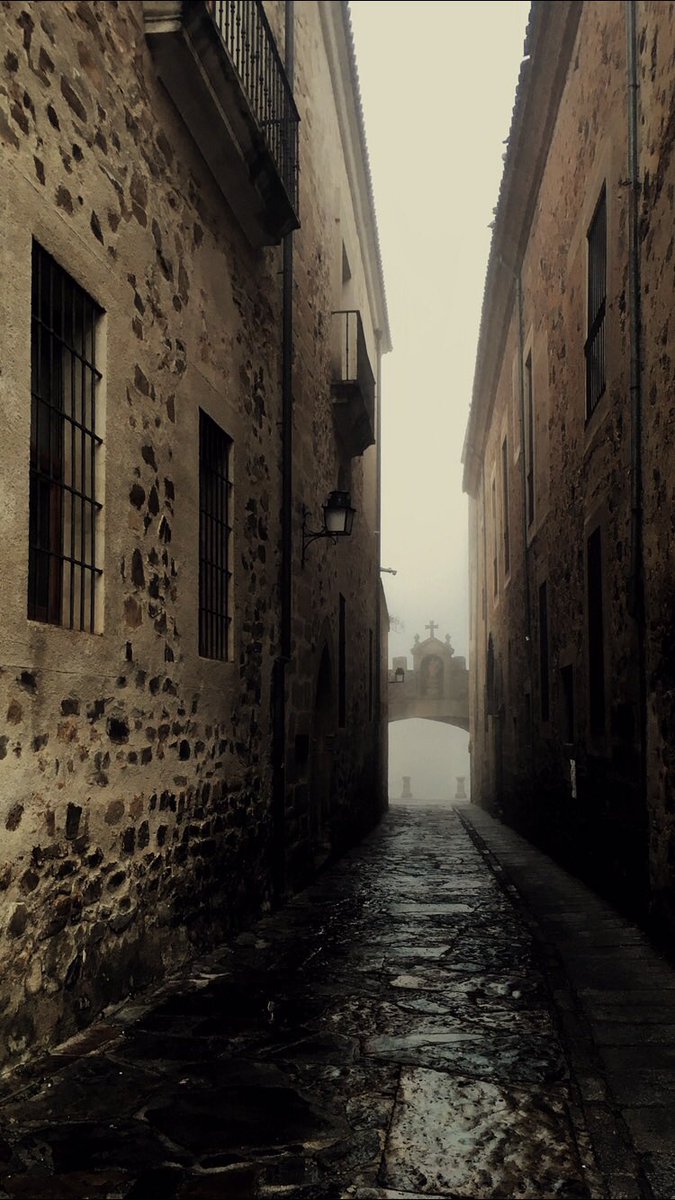 Silvia SA tweet media