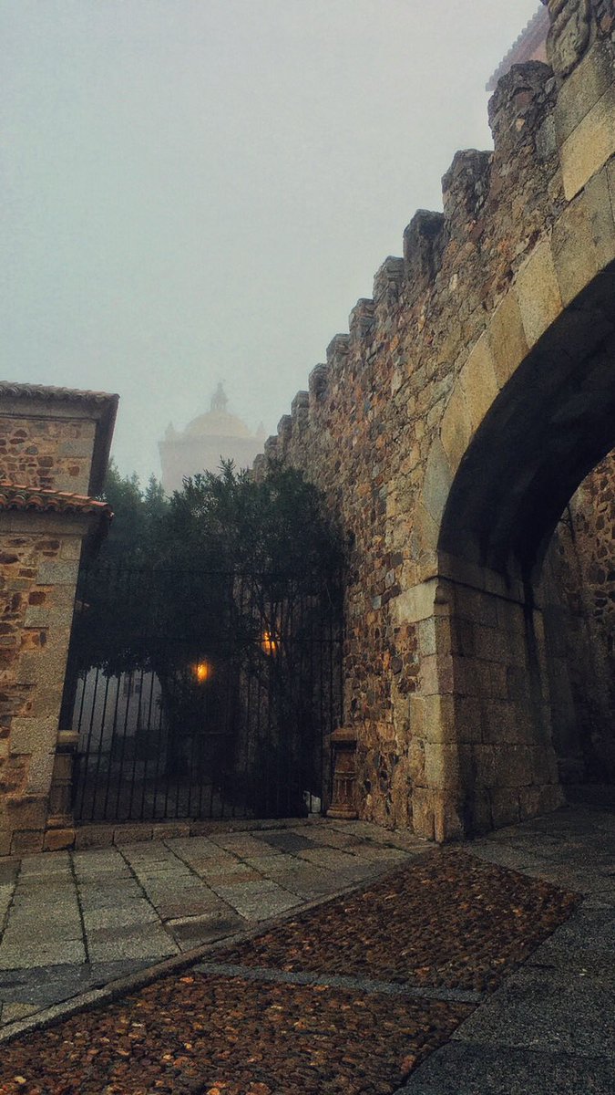 Silvia SA tweet media