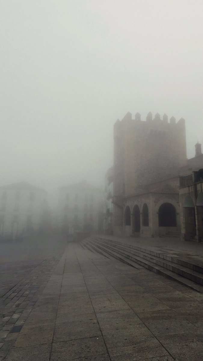 Silvia SA tweet media