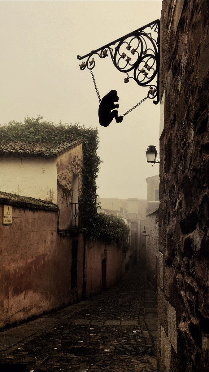 Silvia SA tweet media