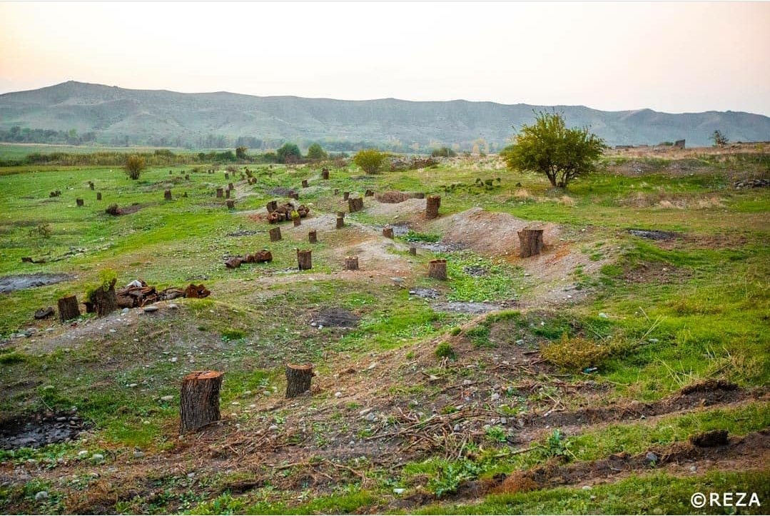 The photo was taken by famous <a href="/REZAphotography/">REZA</a> &amp; as he said "Nature is an innocent victim".The next irrefutable fact of #ArmenianVandalism. Ecological terrorism of non-resident armenians perpetrated against #Azerbaijan,whole region&amp;humanity
#StopArmenianVandalism <a href="/UNEP/">UN Environment Programme</a> <a href="/BBCEarth/">BBC Earth</a>