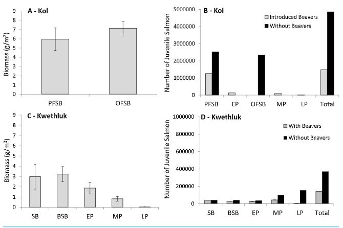 Indeed, Malison elsewhere has demonstrated that the introduction of beavers could have negative consequences for salmon production:  https://pubmed.ncbi.nlm.nih.gov/27635357/&nbsp;