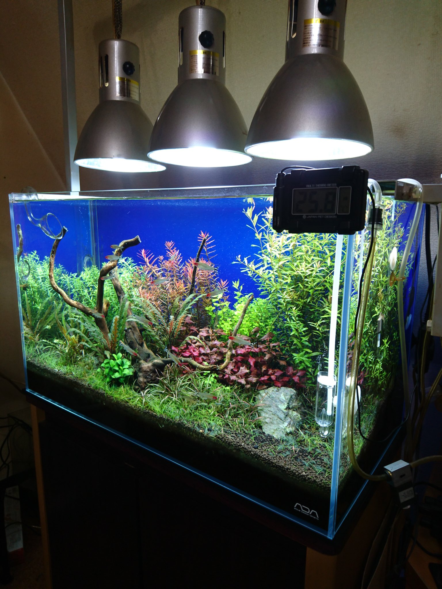 なおなり Led全盛の時代に ヴォルテス 青白い光が好きで使ってます いま最先端の ソーラーrgb とか欲しいけど高くて手がでないから せめて ゼンスイ の マルチカラーled が欲しい Zensui マルチカラーled600 Ada アクアリウム 水草水槽