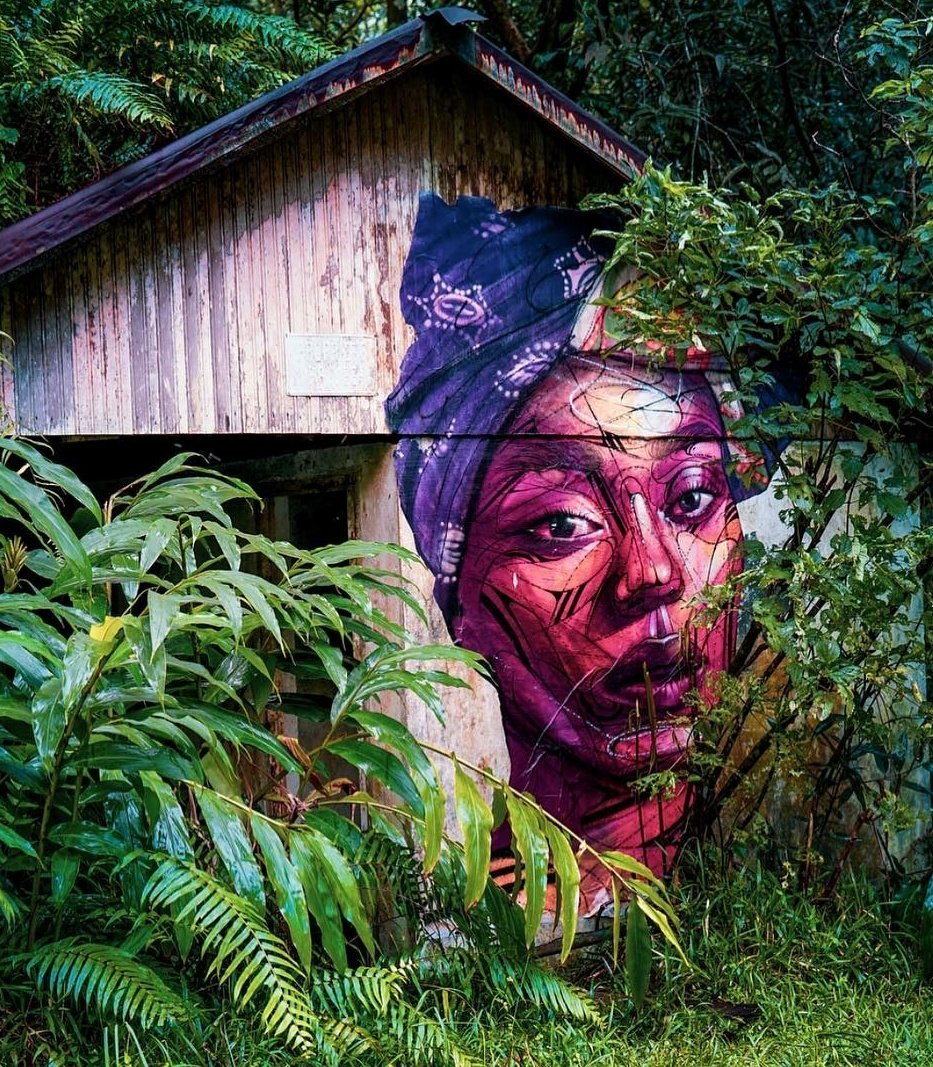 GTauchner's tweet photo. Hopare https://t.co/c6878wCIUI