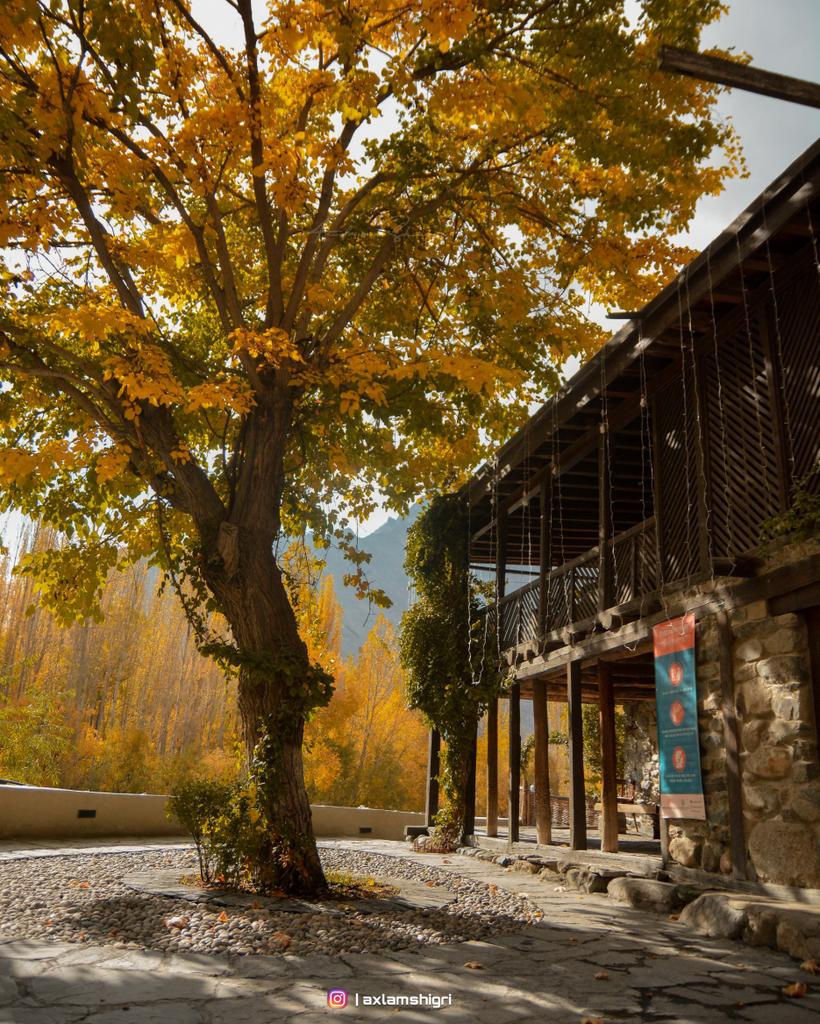 AxlamShiGri's tweet photo. "Autumn is as joyful and sweet as an untimely end."
📍 Shigar Fort - فونگ کھر 
#shigar #shigarfort #Baltistan
#BeautifulPakistan #discoverpakistan https://t.co/LAI3pbyJab